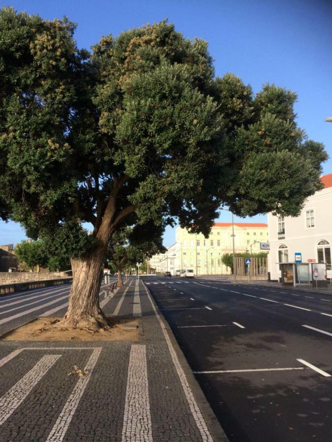 Ap'S Do Forte Ponta Delgada 외부 사진